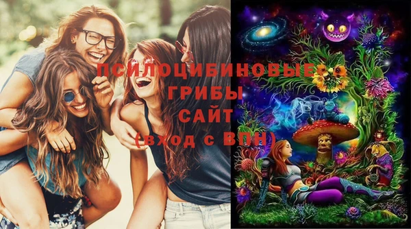 круглые Аркадак