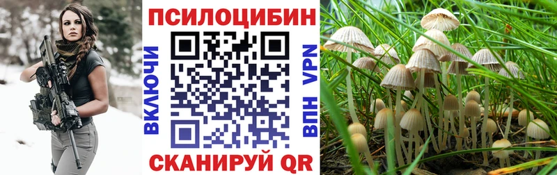 маркетплейс официальный сайт  Углич  Псилоцибиновые грибы Psilocybine cubensis 