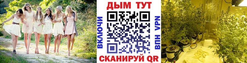 Конопля семена  Углич 
